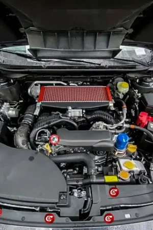 Premium Compressive Engine Dress-up Clips 17 Piece Complete Kit 2020-2023 Outback XT