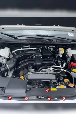 Compressive Engine Dress-up Clips 17 Piece Complete Kit 2018-2023 Crosstrek Premium