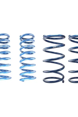 Buy Direct RalliTEK 3/4" Lift Overload Spring Kit 2015-2019 Outback