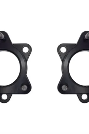 Professional Grade ICON 2004+ Ford F-150 2in Spacer Kit