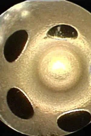 Markdown DDP 89-93 Dodge Cummins 5.9L 12V Injector Set - Stage 3