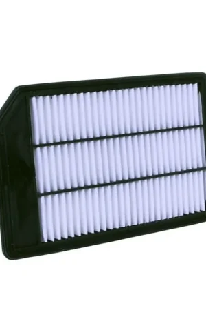 Ryco Air Filter - A1843 Modern