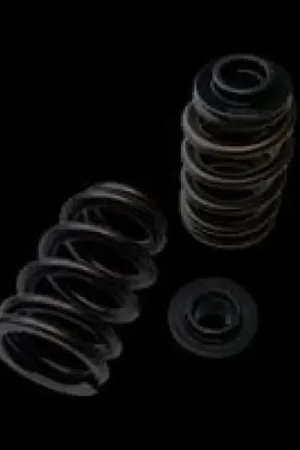 Brian Crower Polaris XP1000/XPTurbo/XP900 Dual Spring/Titanium Retainer/Seat Kit Sale