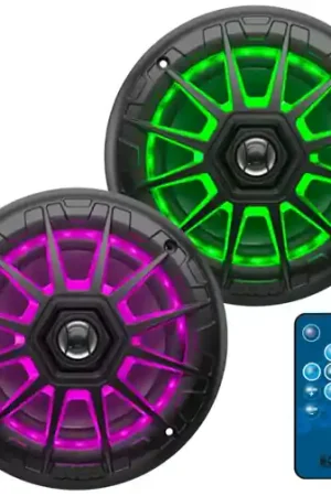 BOSS Audio Systems 6.5in Marine Speakers / 200 Watts Per Pair / 2 Way Buy Direct