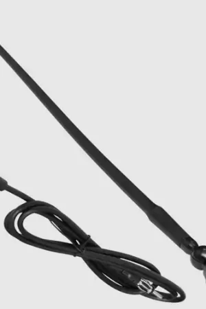 BOSS Audio Systems Marine Rubber Antenna Compatible with Marine Receiver Trusted Brand