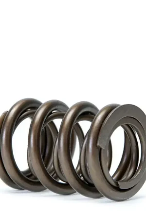 Skunk2 Racing Skunk2 Tuner Series Honda/Acura (K20/K24/F20C/F22C) DOHC VTEC Alpha Valve Spring Set (Dual Springs) Buy Direct