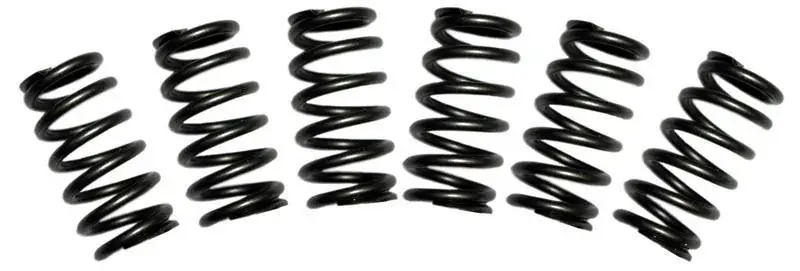 Special Discount BD Diesel Valve Spring Kit 60lb Cummins 5.9 12-valve
