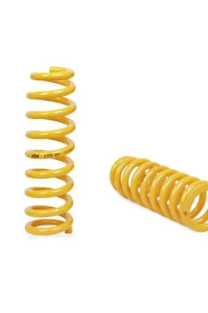 Bargain King Springs Front Super Low Springs (N70 Hilux 2WD 05-15)