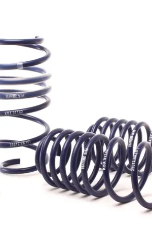 Cheap H&R Sport Lowering Springs (Fiesta ST 2014+)