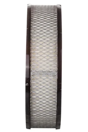 Buy Direct 1972 Dodge CoronetAir FilterPA4